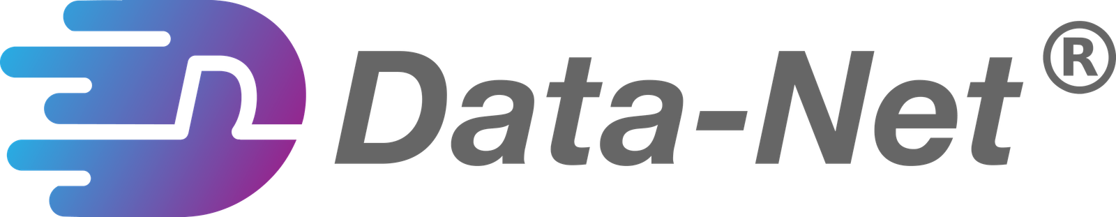 Data-Net Logo